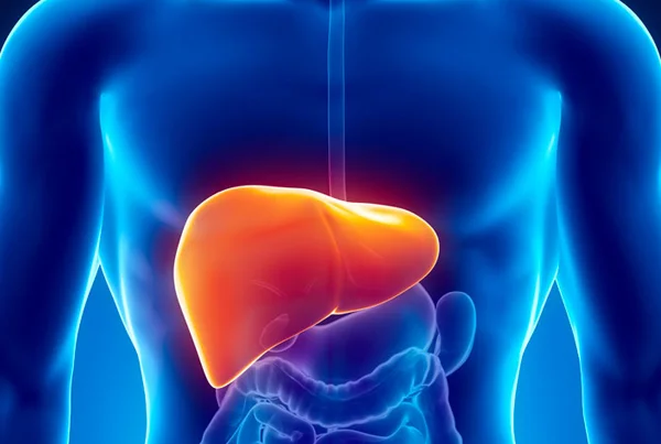 SRL Vital Care - Liver with Smart+ Health Report